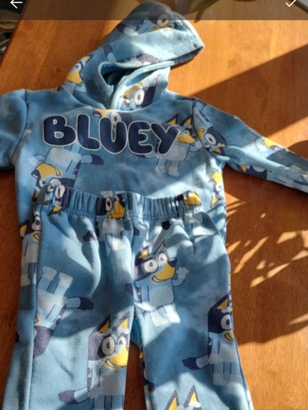 Bluey sweat set